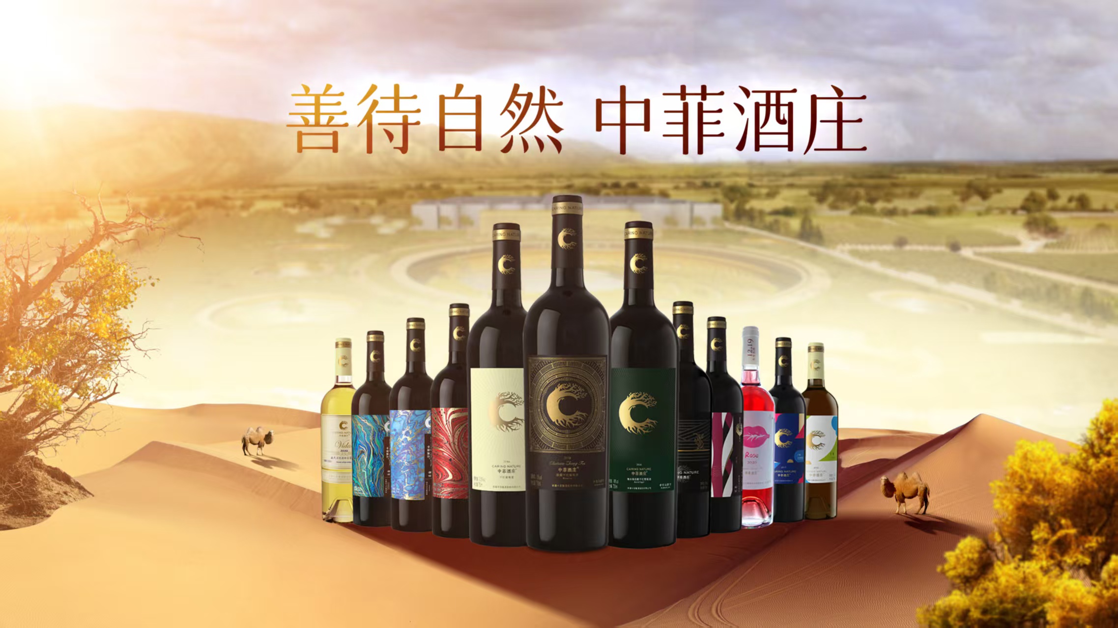 微信图片_20260701173428_526_9.jpg